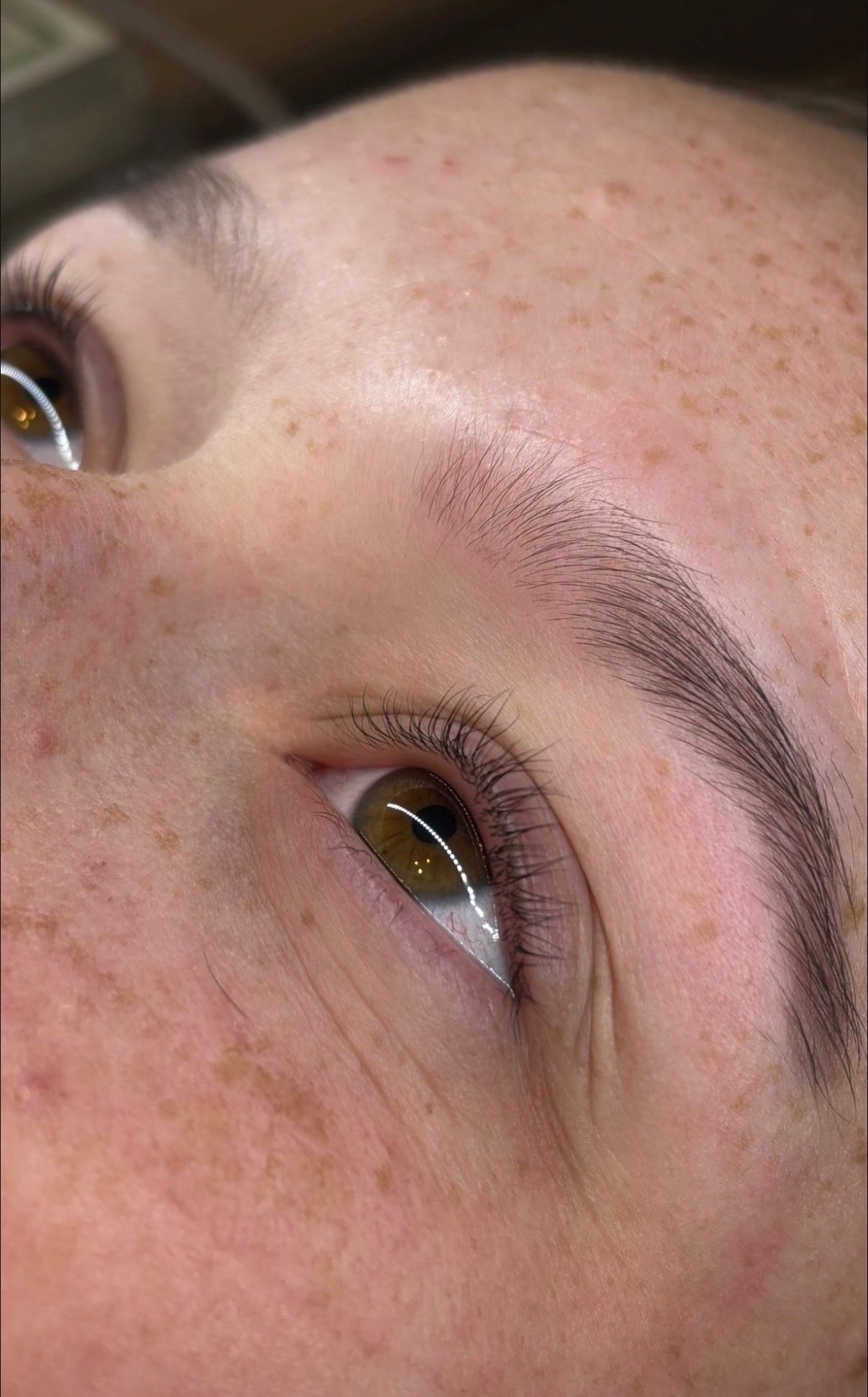 Shaped and tinted brow